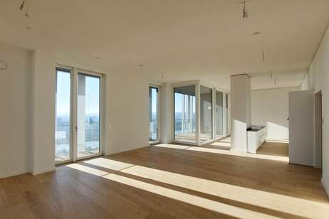 Exklusiver 3-Zi.-Erstbezug mit Sauna &amp; Skylineblick, Wohnung-miete, 1.255,00,€, 1220 Wien 22., Donaustadt