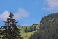 Gemütliche Wohnung in Zentrumslage