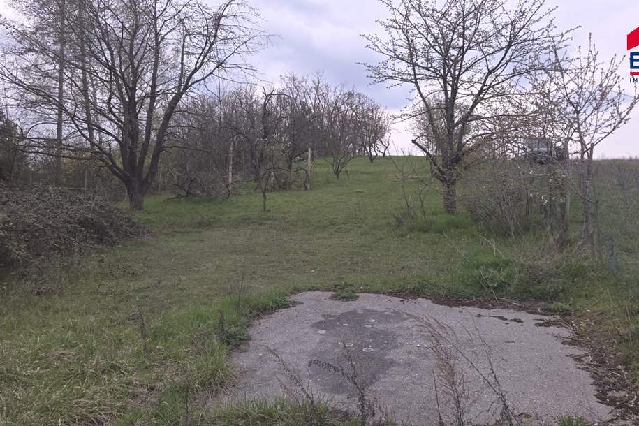 Grundstück zur Miete in Mistelbach - Gartenparadies mit Altbaumbestand, Grund und Boden-miete, 2130 Mistelbach