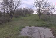 Grundstück zur Miete in Mistelbach - Gartenparadies mit Altbaumbestand