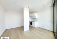 Atemberaubendes Apartment mit Fernblick - Danubeflats