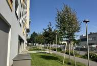 SWIMMINGPOOL AM DACH - SAUNA UND FITNESSRAUM IM HAUS