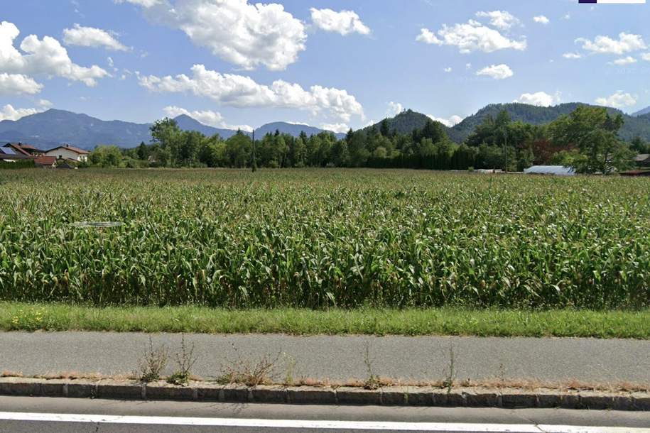 Enormes Potenzial - Bauträger-Grundstück in Wasserhofen, Gemeinde St. Kanzian (Kärnten), Grund und Boden-kauf, 1.100.000,€, 9141 Völkermarkt