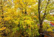 ++Fasangarten++ Altbau mit Potenzial – 2 Zimmer zum Sanieren