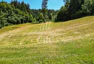 Sonniges Baugrundstück in Moosburg - Ruhige Lage am Waldrand (Nr.2)