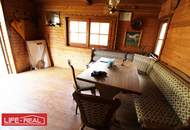 sonniges Grünland eingebetet neben Bach und Wald