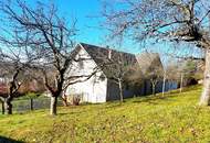 Panorama 200m² WFL, 2 Wohngeschoße, großer Garten, Obstbäume, Wald
