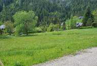 Traumhaftes Baugrundstück in Donnersbachwald Nähe Riesneralm (Provisionsfrei)