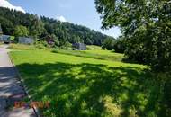Wunderschönes Grundstück am Waldrand in prominenter Dornbirner Lage