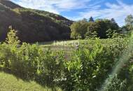 Gartenidylle pur! Provisionsfrei und sofort bezugsbereit!