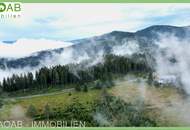 Einzigartiges Alm-Areal (4,7 ha) in Panoramalage – Ideal für Tourismusprojekte
