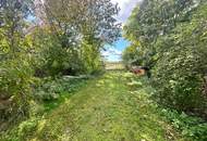 Reiterparadies im Weinviertel – Ihr Traum vom Landleben!