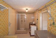 Haus mit 2 Einheiten und Donaublick