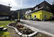 HandwerkerIn gesucht im kleinen Yspertal: liebenswertes Haus unweit von Nöchling