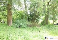 1,2 Hektar Grundstück für die Erholung/Selbstversorgung bei Bad Tatzmannsdorf