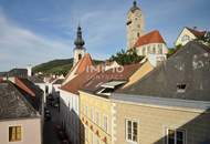88,46qm Panorama-Dachterrassenwohnung in Stein, Donaublick, Lift, DPU-fußläufig