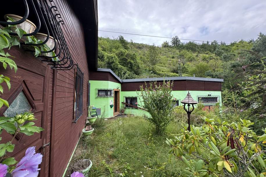 Sanierungsobjekt mit 1571m² Grundstück, Haus-kauf, 270.000,€, 3500 Krems an der Donau(Stadt)