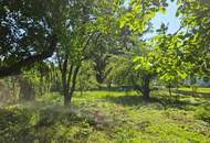 gemütliches Haus sucht neuen Besitzer