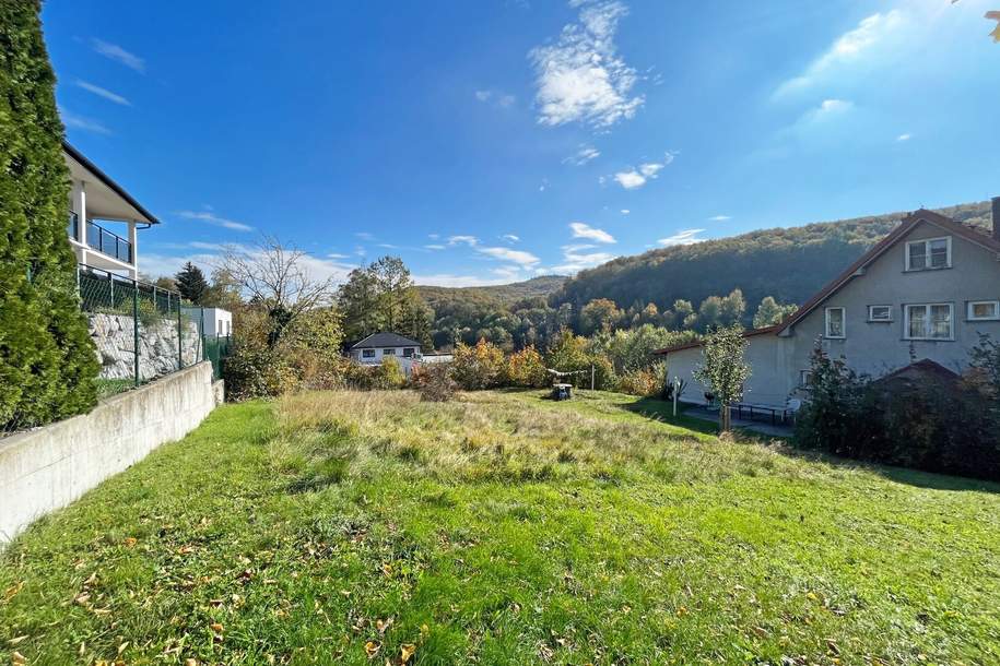 Sonniges Baugrundstück in traumhafter Südlage in Pressbaum, Grund und Boden-kauf, 290.000,€, 3021 Sankt Pölten(Land)