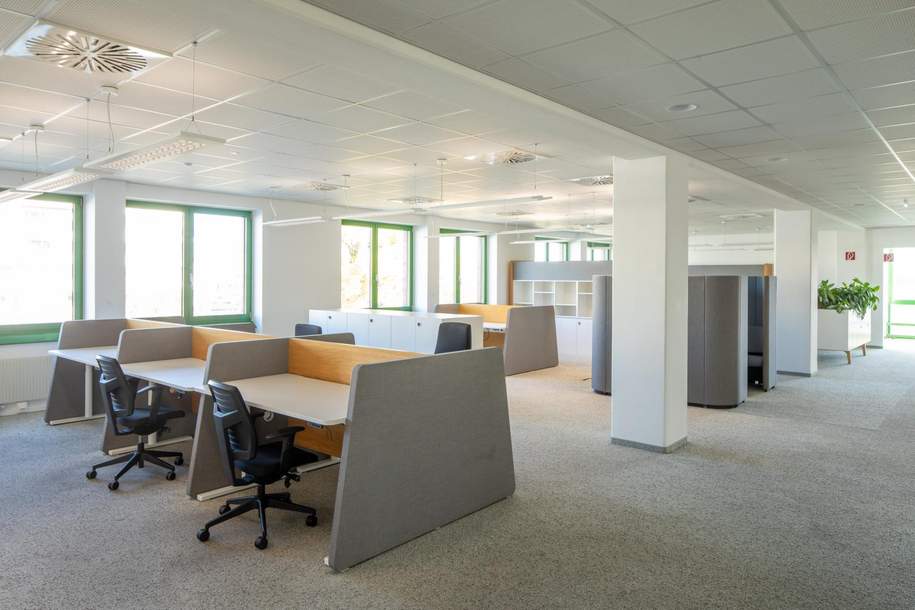 Großraumbüro, Gewerbeobjekt-miete, 18.380,75,€, 1220 Wien 22., Donaustadt