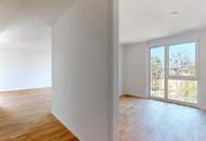 "DAS NOAH+" PROVISIONSFREI