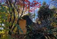 Entzückendes Einfamilienhaus mit Gartenoase in sonniger Lage