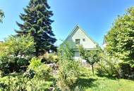 FAST AM GIPFEL .... vom Rosenhügel