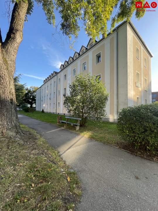 Zentral gelegene Dachgeschoss 1-Raum Wohnung im beliebten Stadtteil Bindermichl! Von Grünflächen und bester Infrastruktur umgeben!