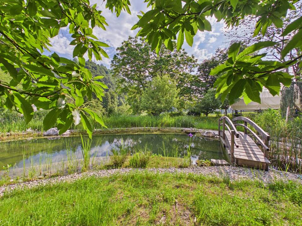 Selbstversorgerparadies in Kossiach – Einfamilienhaus mit 3.000 m² Gartenanlage, Naturteich &amp; Ruheoase