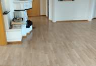 WIESEN , schöne Ruhelage, traumhafte Liegenschaft mit Wintergarten, Pool, Biotop, 4 Garagen etc. (Provisionsfrei)