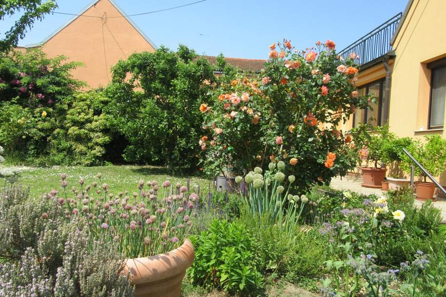 NEU RENOVIERTES EINFAMILIENHAUS MIT NEBENGEBÄUDE, Haus-kauf, 178.000,€, 2265 Gänserndorf
