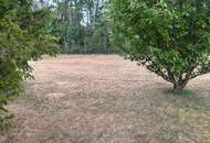 "Perfektes Baugrundstück für Ihr Eigenheim – 600 m² in Blumau-Neurißhof!"