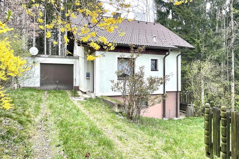 "Bastlerhaus in ruhiger Waldlage", Haus-kauf, 119.000,€, 2852 Wiener Neustadt(Land)