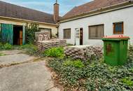 Sanierungsbedürftiges 3-Zi-Einfamilienhaus mit Garten &amp; Garage (Abstellraum)