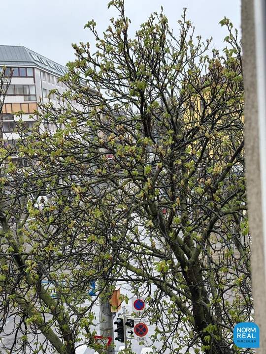 ERSTBEZUG 2 Zimmerwohnung