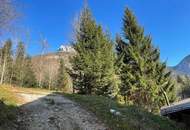 Gepflegte Wohnung + Balkon - Topaussicht See &amp; Berge