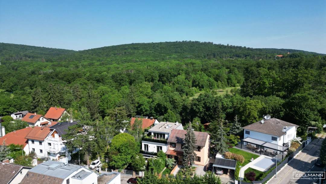Im Grünen verwurzelt. Nach oben offen. – Familienhaus mit Zukunft in Hietzing | ZELLMANN IMMOBILIEN