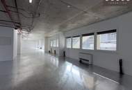 SIRIUS working – Ihr Unternehmen. Ihre Möglichkeiten. Ihr Büro mit Seeblick.