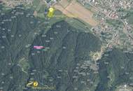 Großzügige Grundstücke für Land- und Forstwirtschaft. Baldramsdorf. Spittal an der Drau. Wald und Wiese.