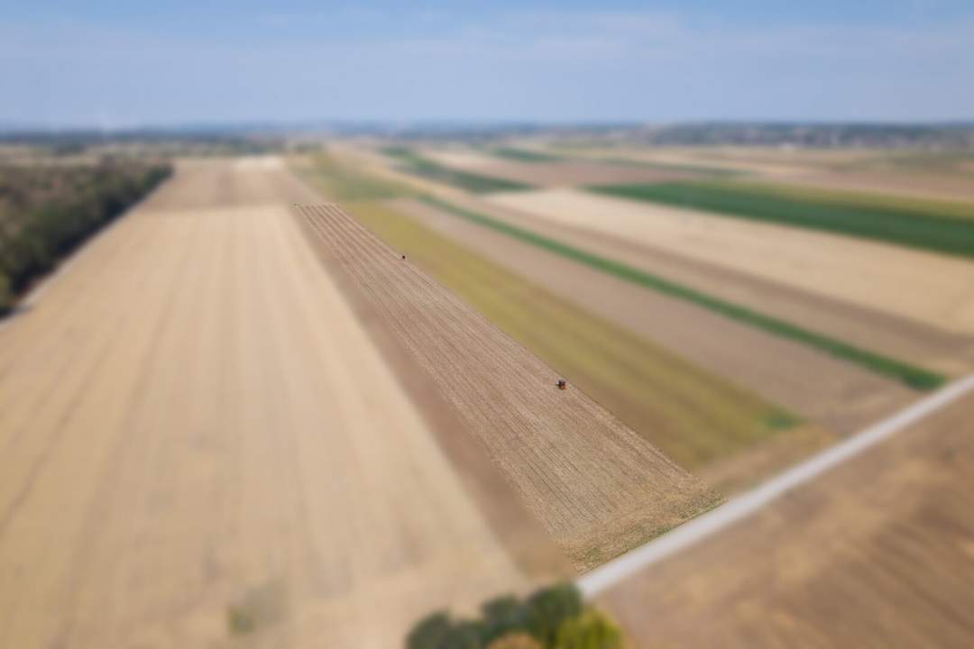Landwirtschaftliches Grundstück in der KG Großengersdorf - 27952m2