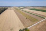 Landwirtschaftliches Grundstück in der KG Großengersdorf - 27952m2