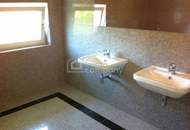 GERASDORF bei Wien: Modernes Einfamilienhaus