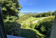 Wochenendhaus in aussichtsreicher Höhenlage im südlichen OÖ - ganzjähriger Rückzugsort im Nationalpark Kalkalpen/Laussa