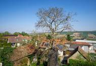 Nachhaltig wohnen mit Erdwärme – Architektenhaus in idyllischer Grünruhelage mit Weitblick