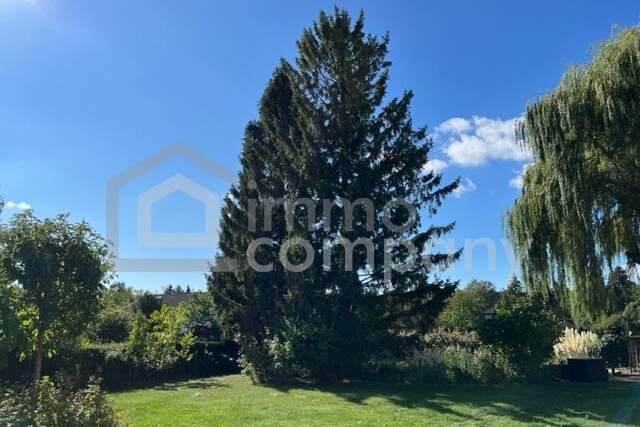 Sonniges Baugrundstück mit Biotop, Altbaumbestand und Doppelgarage in 2753 Dreistetten, Grund und Boden-kauf, 169.500,€, 2753 Wiener Neustadt(Land)