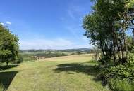 Landwirtschaftlicher Nutzgrund mit ca. 5 Ha - kleine Hofstatt mit Nebengebäuden