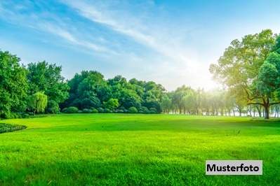 Waldgrundstück, Grund und Boden-kauf, 2.750,€, 2721 Wiener Neustadt(Land)