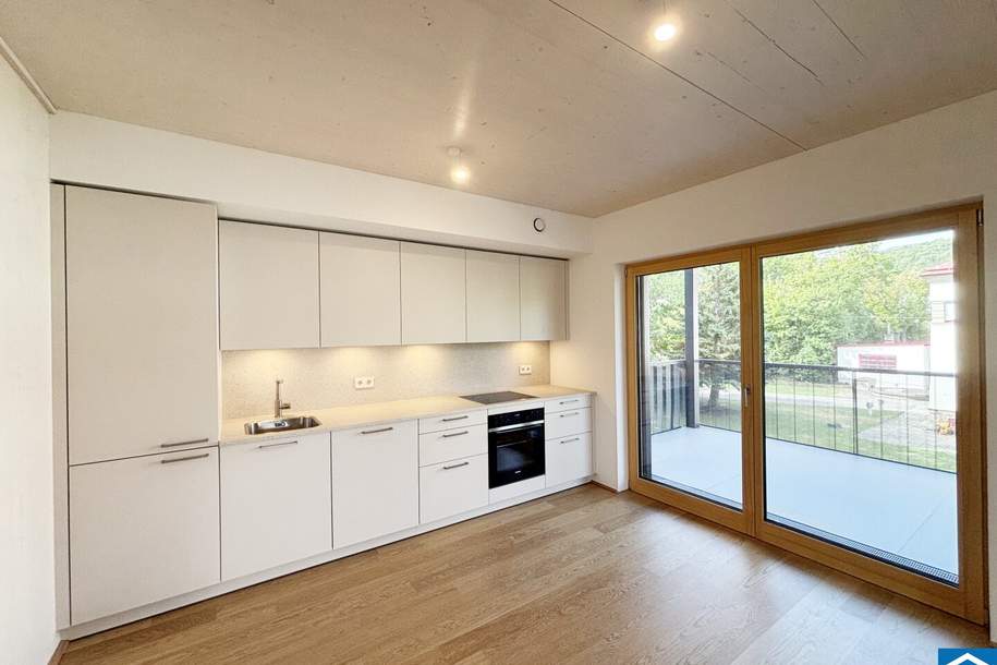 ERSTBEZUG! Ruhige 3-Zimmerwohnung in Mödling!, Wohnung-miete, 1.689,42,€, 2340 Mödling
