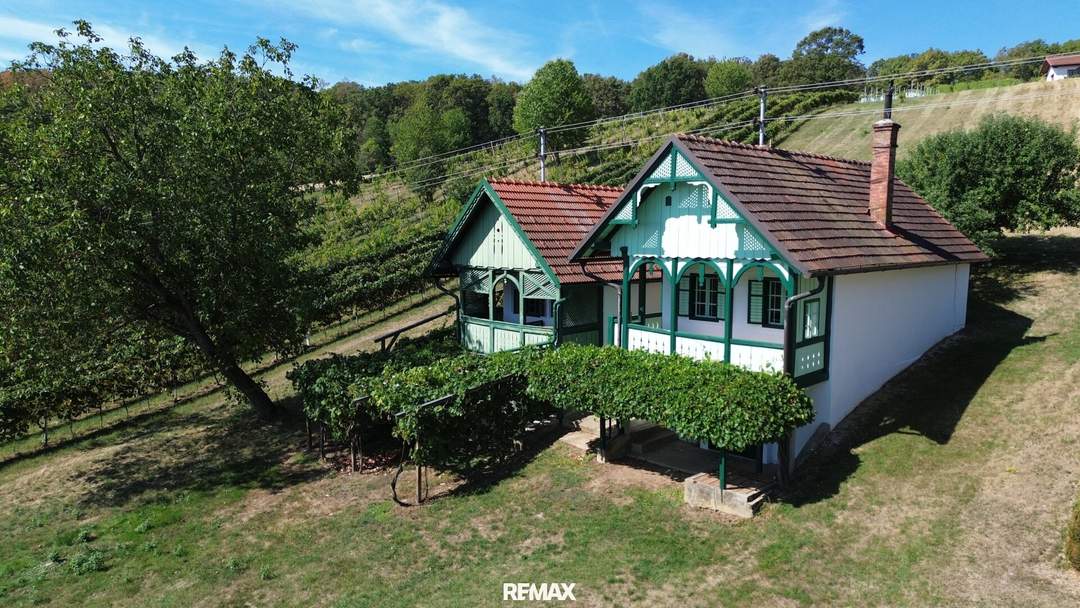 Charmantes Kellerstöckl mit Garten, Balkon & Fernblick im Pinkatal – Südburgenland