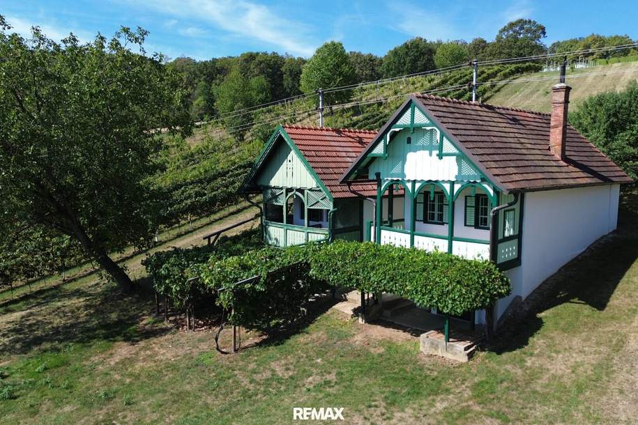 Charmantes Kellerstöckl mit Garten, Balkon &amp; Fernblick im Pinkatal – Südburgenland, Haus-kauf, 165.000,€, 7521 Güssing
